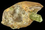Lustrous, Yellow Apatite Crystal on Calcite - Morocco #84319-2